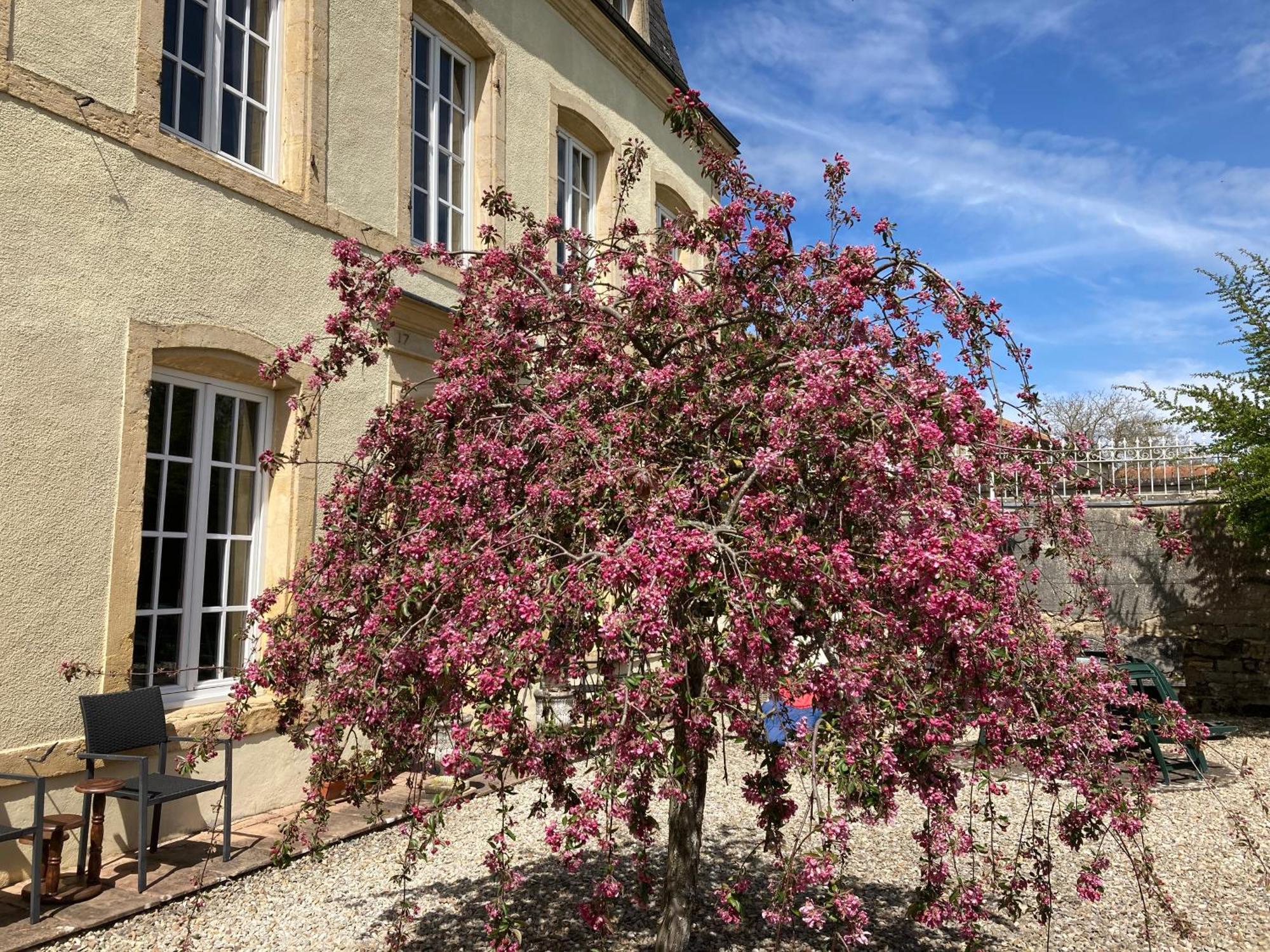 Maison Les Beaux Arts Mouzay  Dış mekan fotoğraf